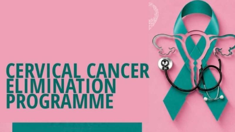 A graphic headed “Cervical Cancer Elimination Programme”, with a teal awareness ribbon, a stethoscope and an outline of the uterus.